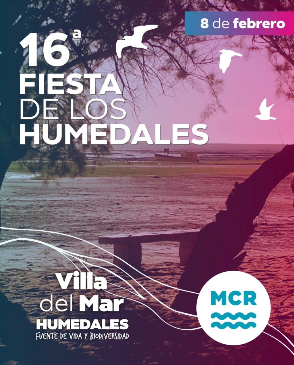 16ª Edición de la fiesta de los humedales