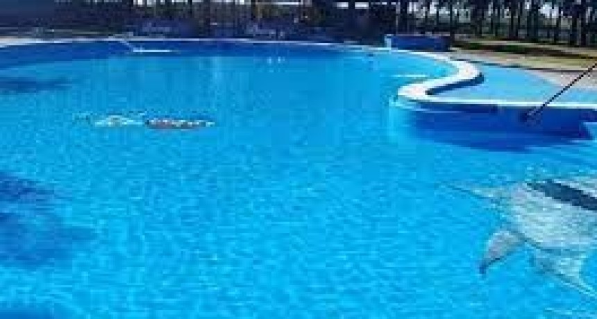 2ª etapa de colonia de vacaciones en la pileta de Rosario