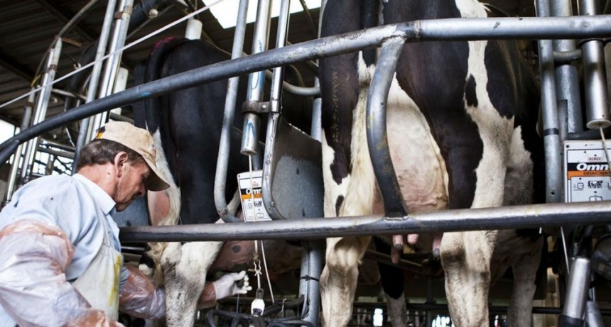  El Gobierno anunció un programa de asistencia para 8 de cada 10 productores lecheros 