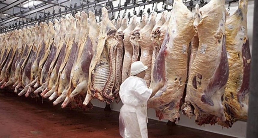  El precio de la carne se desaceleró y la suba es 30 puntos menor a la inflación general 
