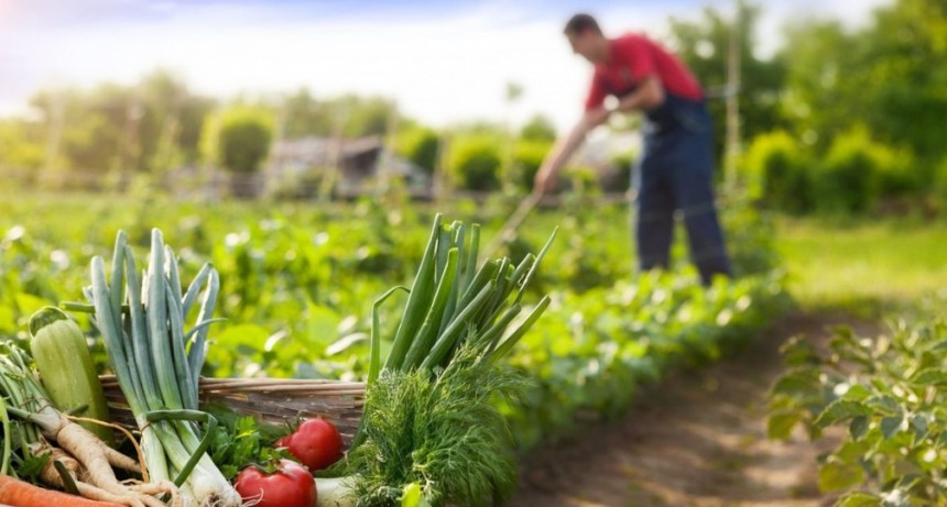En El Venado, producen sin agroquímicos y 