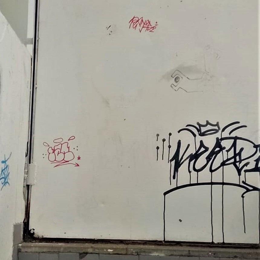 GRAFITEO EL REGISTRO CIVIL Y TENDRA QUE PAGAR EL ARREGLO