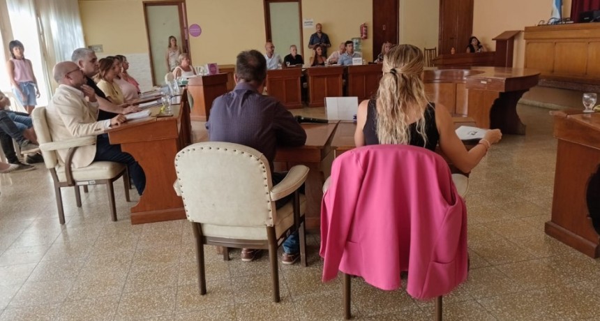 Media Sanción sobre Aumento de TSU del 160% con revisión Bimestral en el Cjo. deliberante Rosaleño