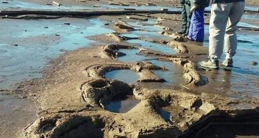 RESERVA NATURAL GEOLÓGICA, PALEONTOLÓGICA PEHUEN CO MONTE HERMOSO, su preservación y la afectación en estos espacios naturales de la medidas en el DNU y LA LEY “OMNIBUS “ del PE NAC.