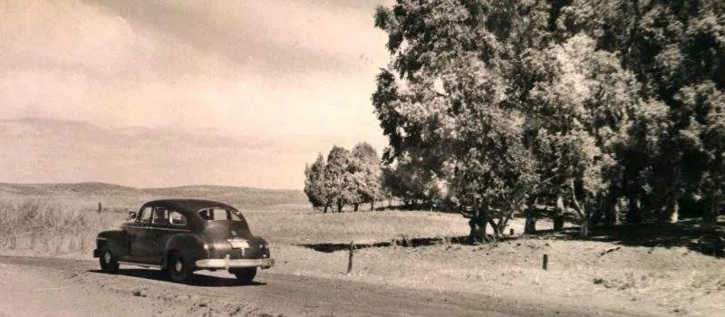 Historia de Pehuen-Có: el sueño de un bosque junto al mar