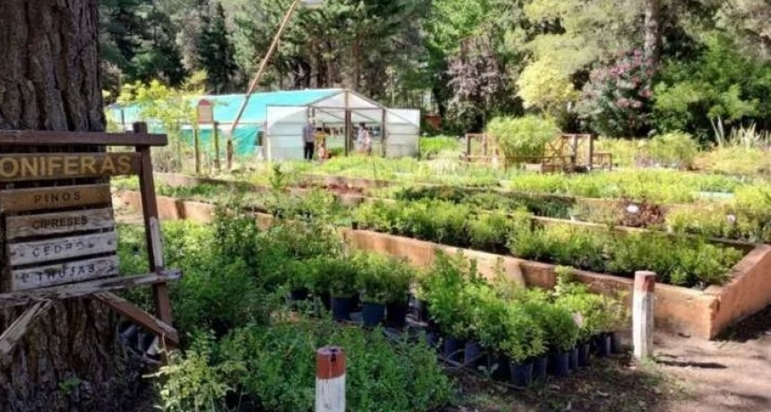 El Vivero Municipal de Pehuen Co, una pausa verde ideal para el verano