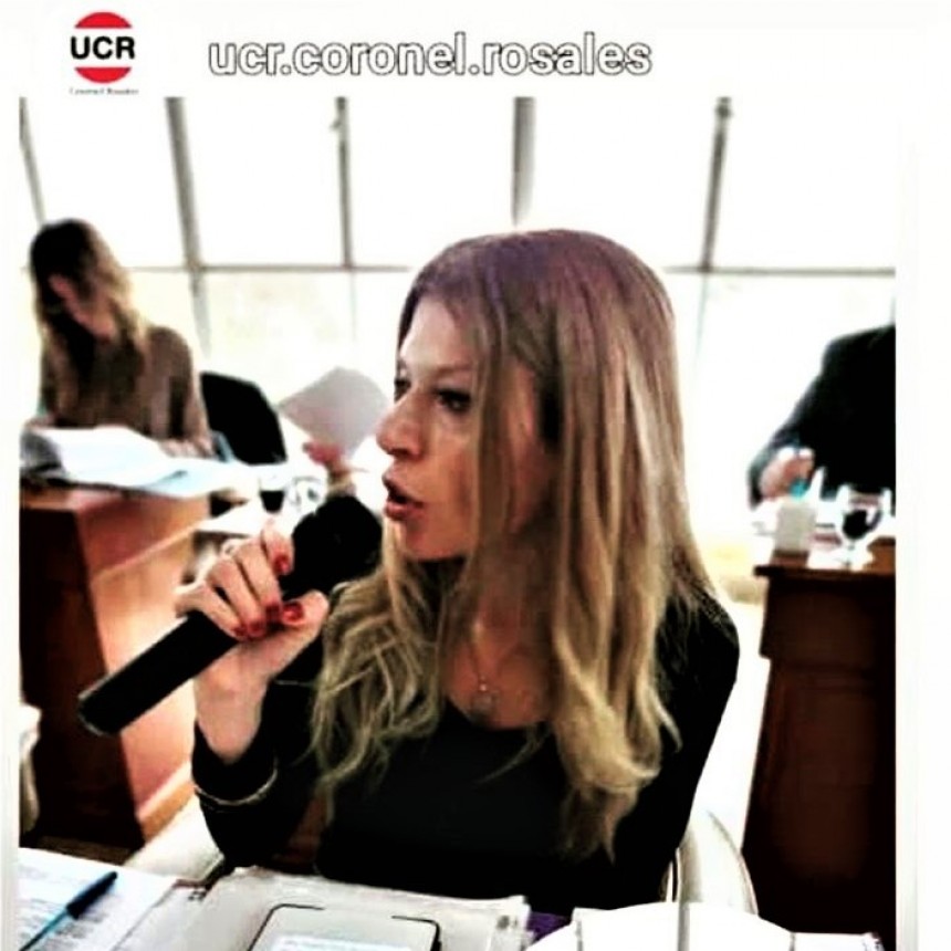 La UCR presenta proyecto de adhesion a la ley provincial N°15.296, y así establecer la capacitación obligatoria en la temática de discapacidad