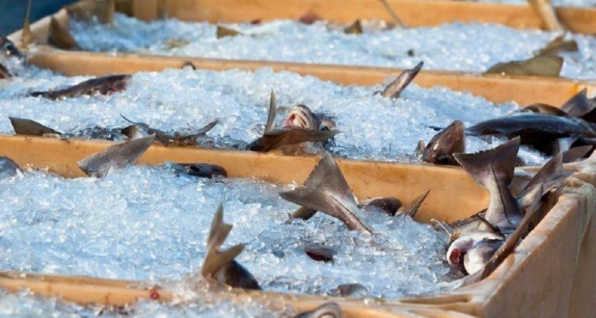 Alarma en Santa Fe por peces contaminados en el río Salado!!!