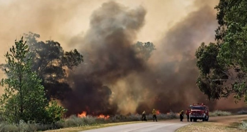 Un incendio obligó a cortar el acceso a Monte Hermoso