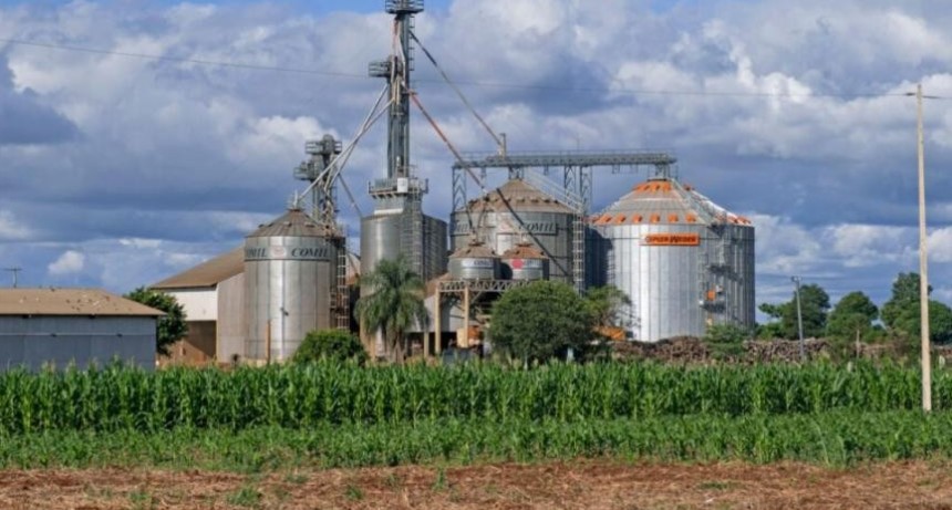 Biocombustibles: PyMES advierten contra intento de favorecer a “grandes aceiteras”
