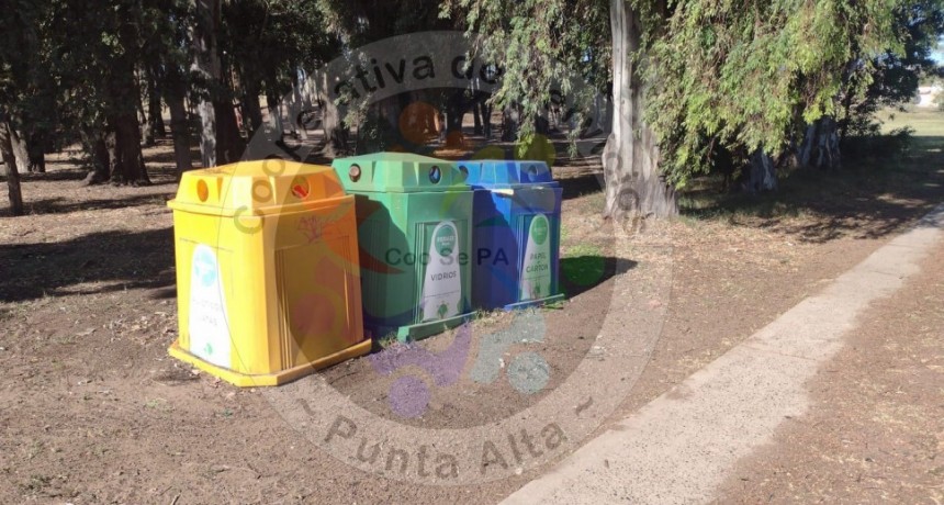 COOSEPA: Desafíos y Determinación de La Cooperativa en Tiempos Difíciles