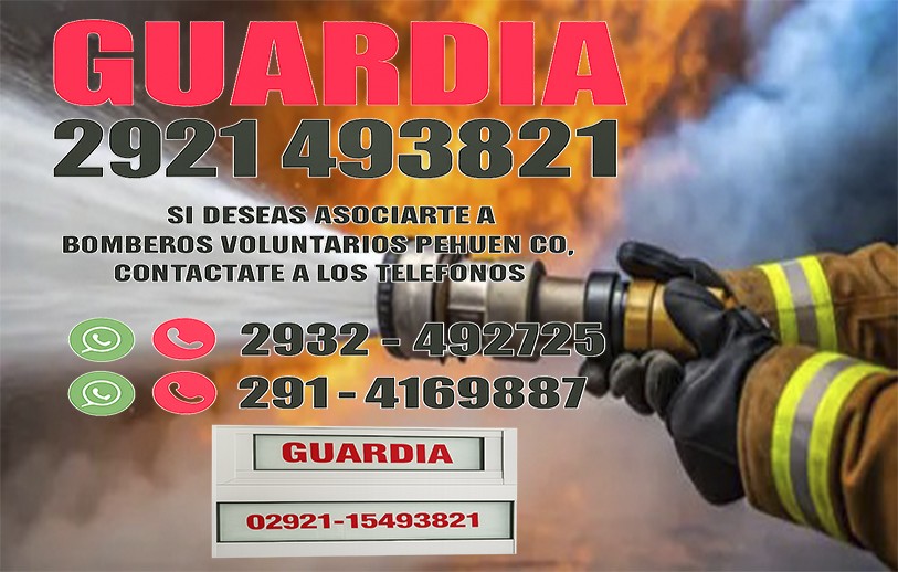Desde que comenzó el año Bomberos Voluntarios de Pehuen Co asistieron a 20 llamados.
