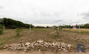 Reclaman que el Municipio publique el listado de terrenos fiscales para facilitar el acceso a la vivienda