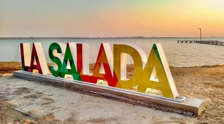 Detectan caso de gripe Aviar en Villarino