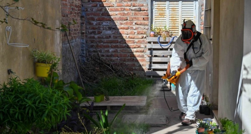 Dengue en Bahía: reportan 19 casos confirmados y siguen los operativos de prevención