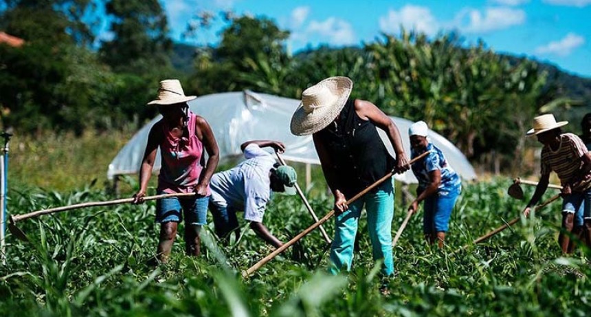 El gobierno cierra el Instituto Nacional de Agricultura Familiar campesina E Indigena