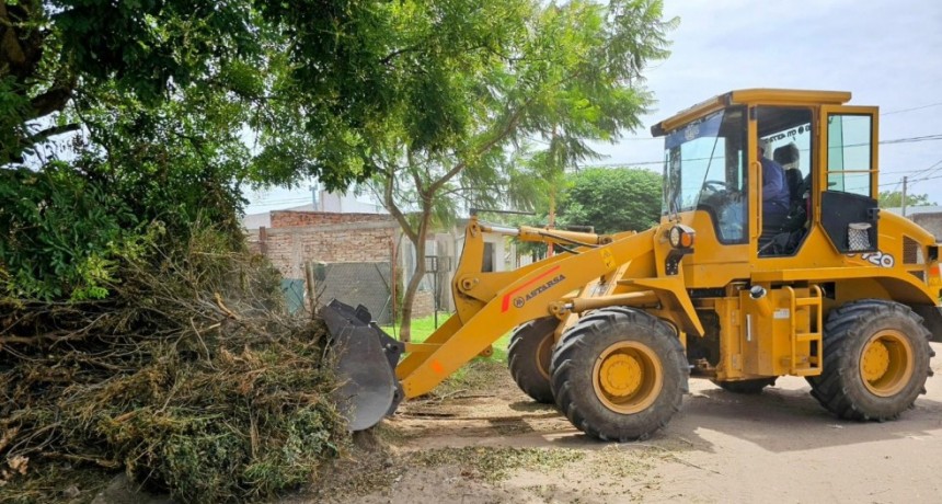 El municipio Rosaleño lanza el Programa Integral de limpieza y mantenimiento Urbano. 