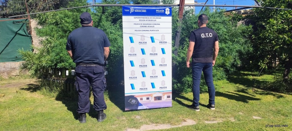 Orden de internaci&oacute;n: descubren marihuana y un arma en un domicilio de Punta Alta