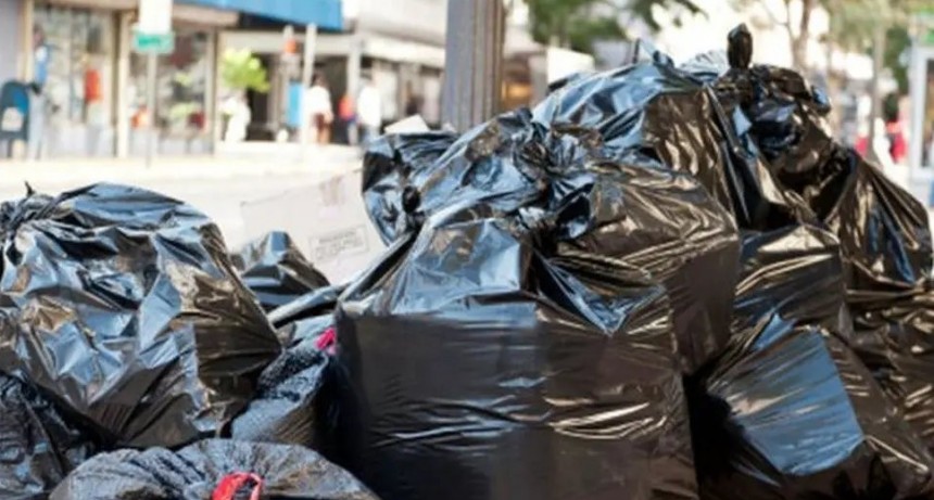 Recolección de residuos voluminosos en Zona Sur