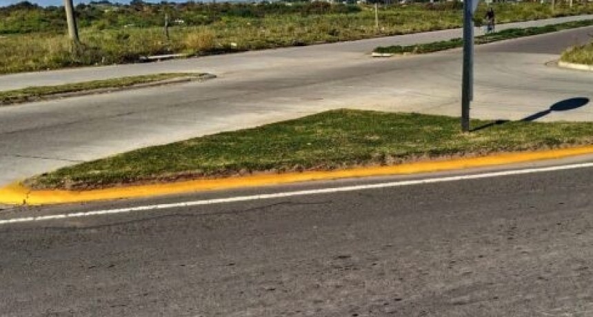 Desde Tránsito se realizan trabajos de pintado de cordones y rotondas para seguridad vial 