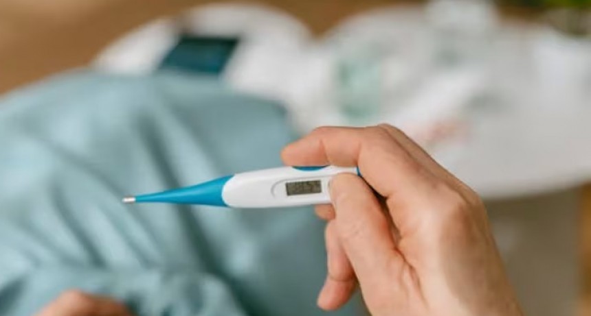 Dengue grave: quiénes tiene más riesgo de desarrollar formas severas de la infección