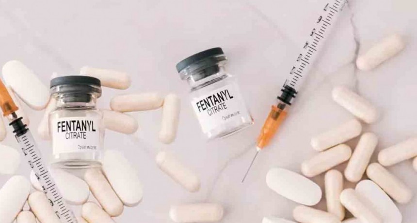 Qué es el fentanilo, la peligrosa droga de la que habló la general estadounidense que visita Argentina
