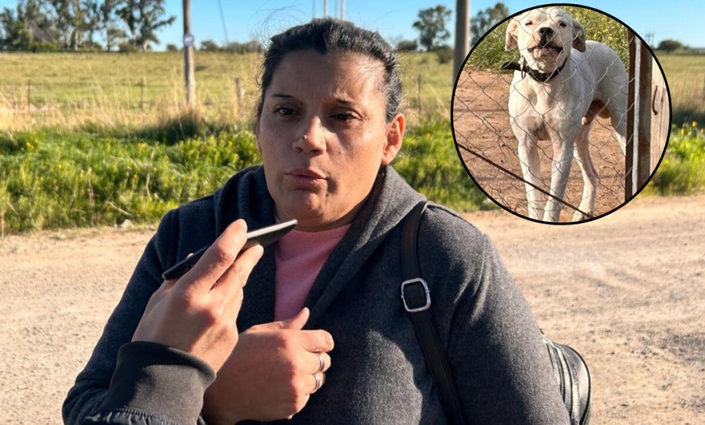 Ataque de dogos en Villa Bordeu: una mujer sufri&oacute; graves mordeduras y denuncian reiterados episodios