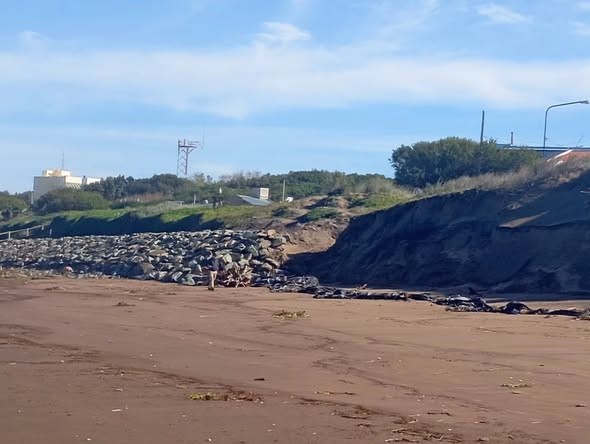 Aristimu&ntilde;o destac&oacute; el funcionamiento de la defensa costera en Pehuen Co tras el temporal