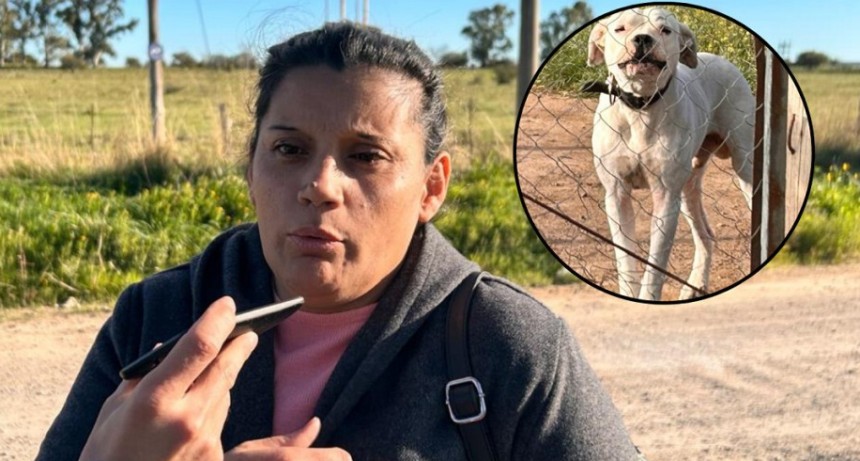 Ataque de dogos en Villa Bordeu: una mujer sufri&oacute; graves mordeduras y denuncian reiterados episodios