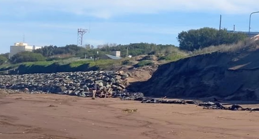 Aristimu&ntilde;o destac&oacute; el funcionamiento de la defensa costera en Pehuen Co tras el temporal