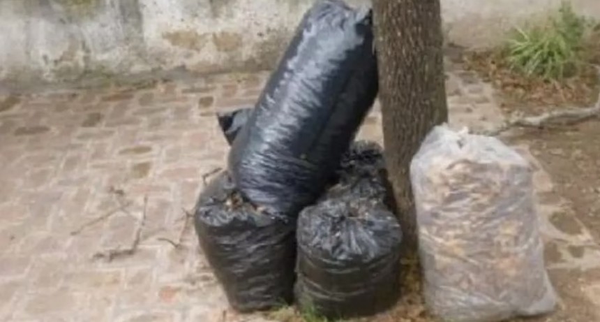 Recolección de residuos voluminosos: Nueva Bahía desde hoy y hasta el sabado