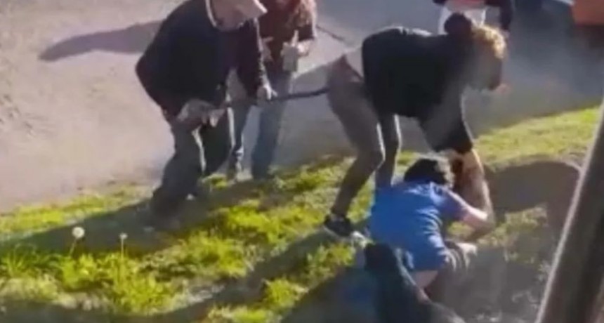 El pitbull que mordió a un joven en Villa Libre protagonizó otro ataque en enero