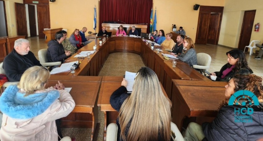 Intensa actividad legislativa en el cuerpo rosaleño