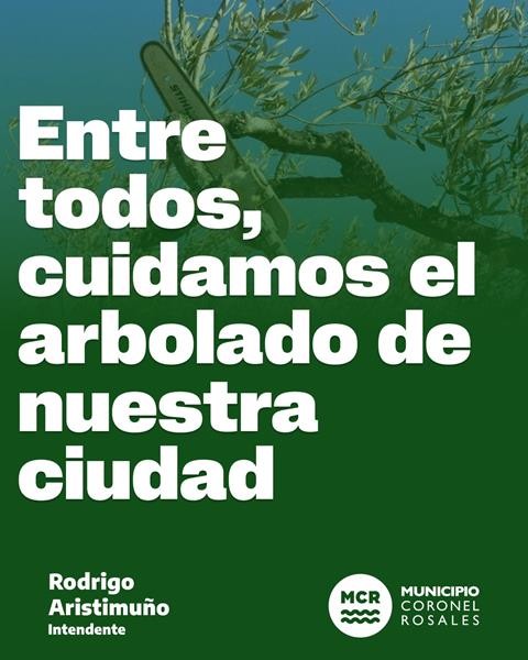 PODA DEL ARBOLADO URBANO: RECUERDAN QUE REQUIERE AUTORIZACI&Oacute;N MUNICIPAL PREVIA