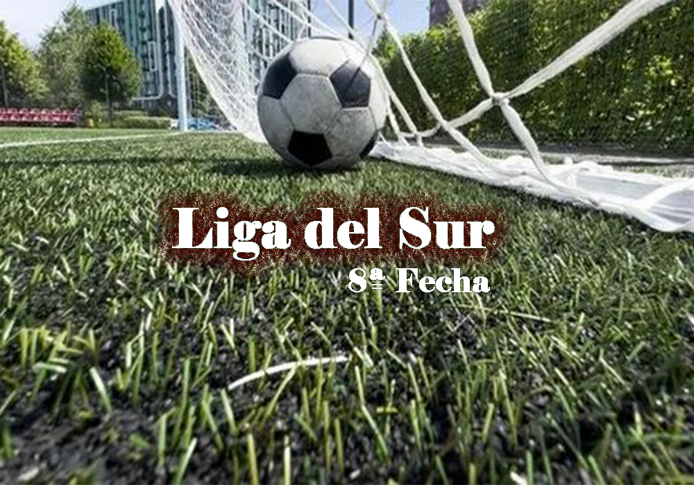 Se disputa la Fecha 8 del Torneo Apertura &ldquo;Jorge Luis Dambolena&rdquo; de FUTBOL