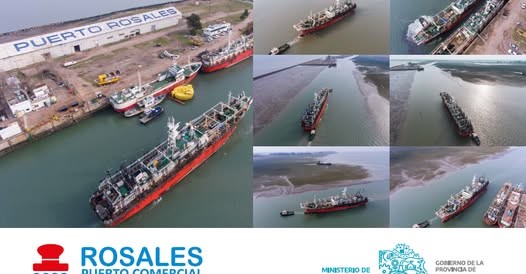 Puerto Rosales concret&oacute; su primera descarga de langostino y avanza en su diversificaci&oacute;n productiva