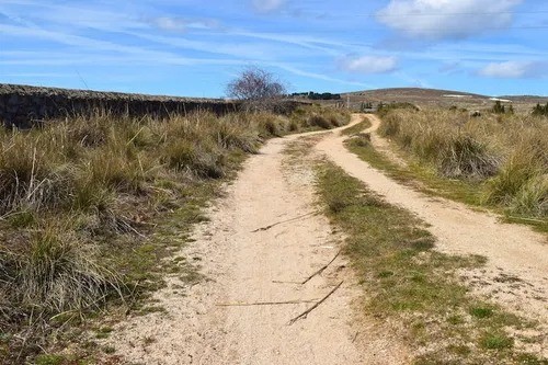 Productores de Coronel Rosales impulsan acci&oacute;n judicial por el estado de los caminos rurales
