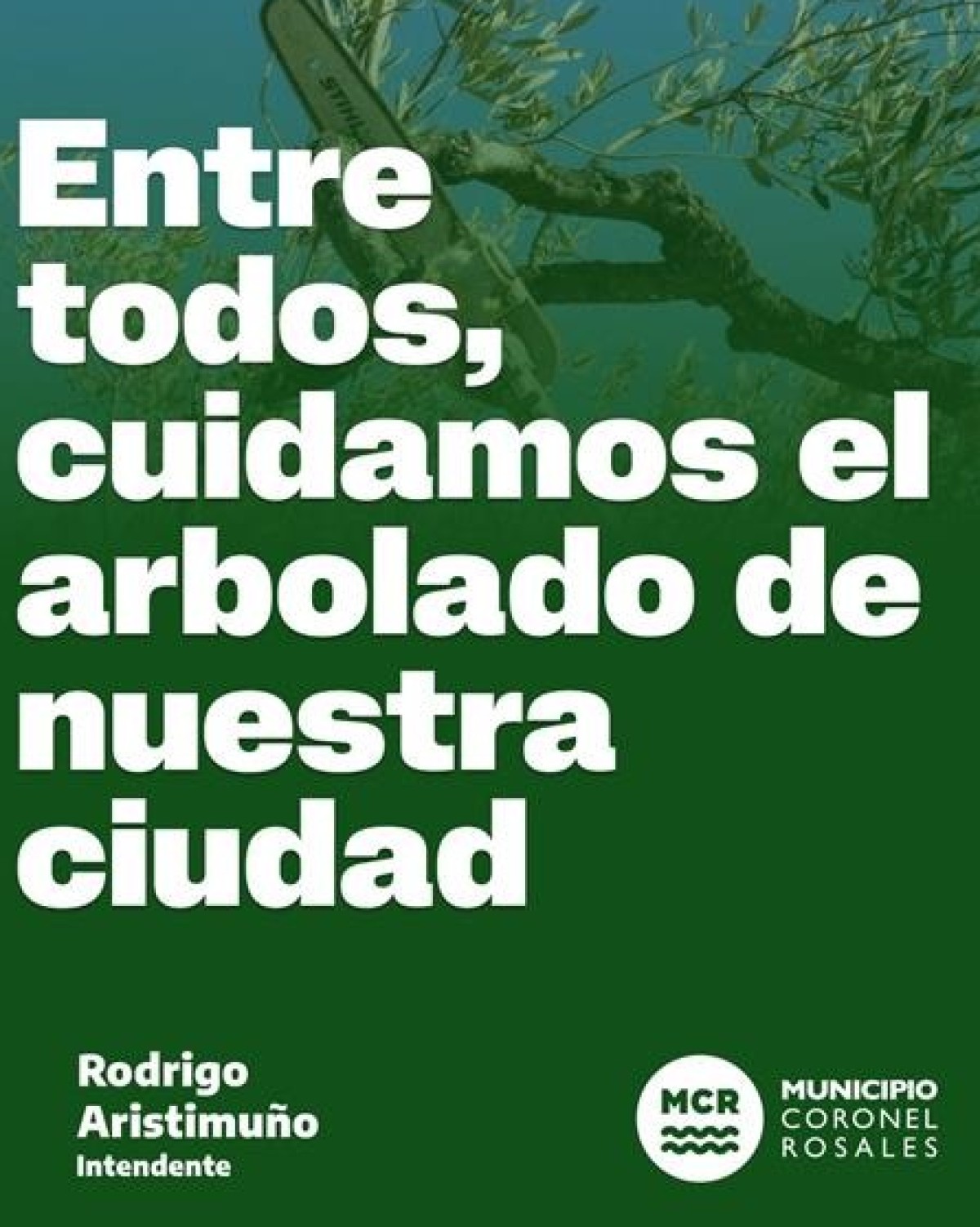PODA DEL ARBOLADO URBANO: RECUERDAN QUE REQUIERE AUTORIZACI&Oacute;N MUNICIPAL PREVIA