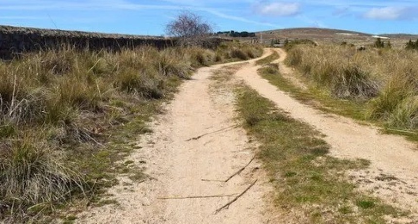 Productores de Coronel Rosales impulsan acci&oacute;n judicial por el estado de los caminos rurales