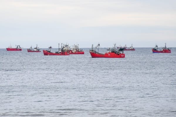 Unos 50 barcos se encuentran frente a las costas de Madryn.