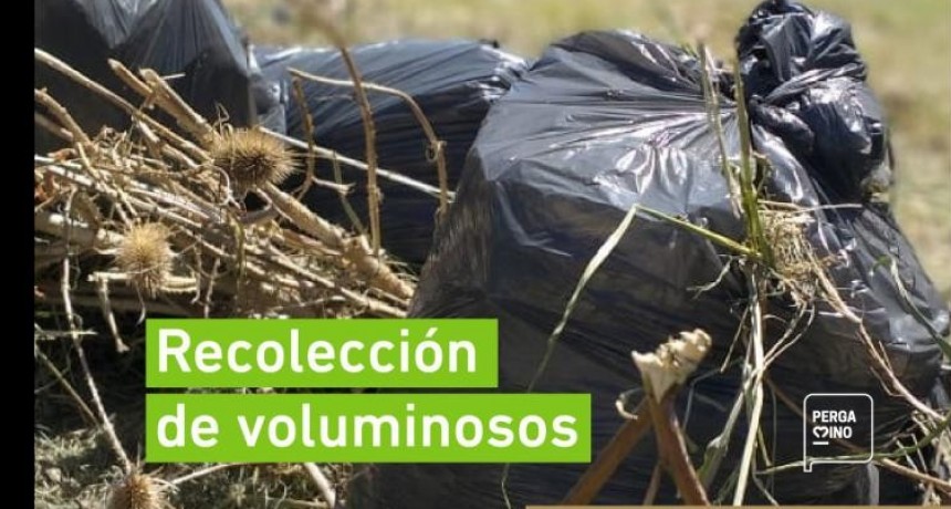 Inició el cronograma de recolección de voluminosos del mes de julio 