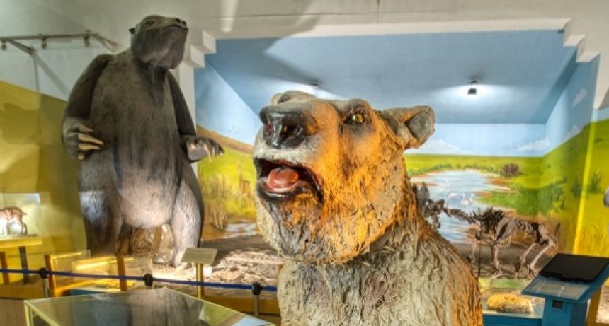 Vacaciones de Invierno en el Museo Darwin