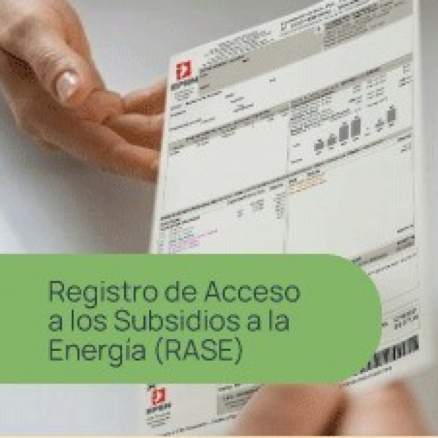 REEMPADRONAMIENTO EN EL REGISTRO DE ACCESO A LOS SUBSIDIOS DEL ESTADO