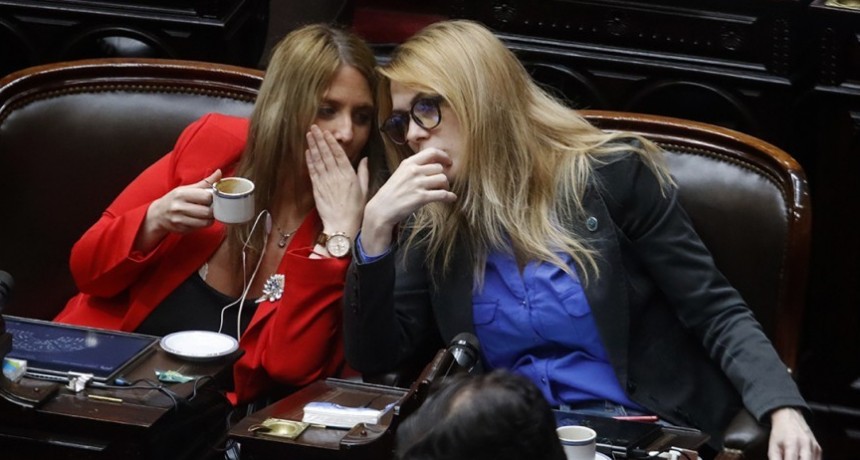 Otro escándalo en el bloque libertario: ahora denuncian a una diputada por quedarse con el sueldo de sus asesores