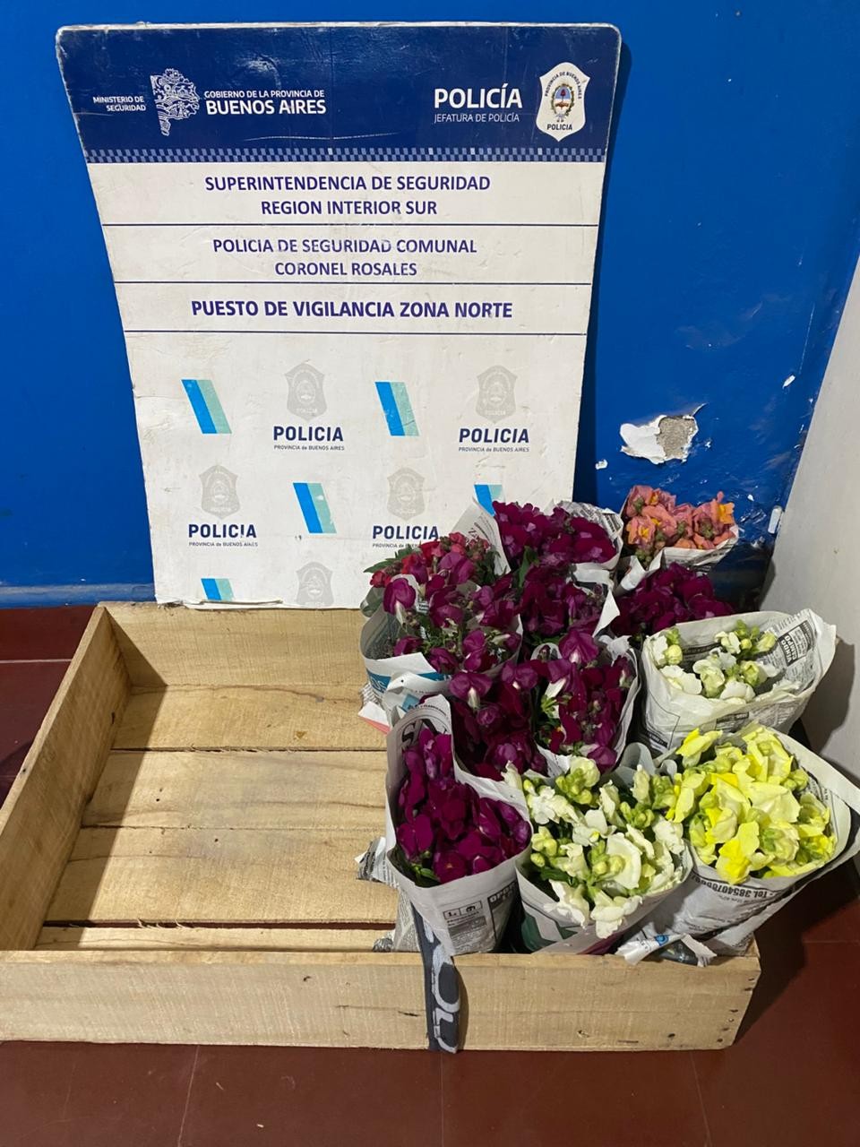 Resumen de actuacion policial