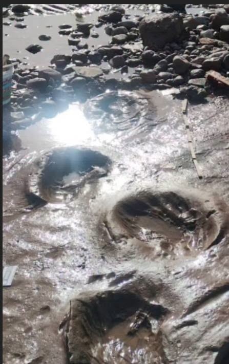La marejada dej&oacute; al descubierto nuevas huellas de perezosos gigantes en Pehuen Co