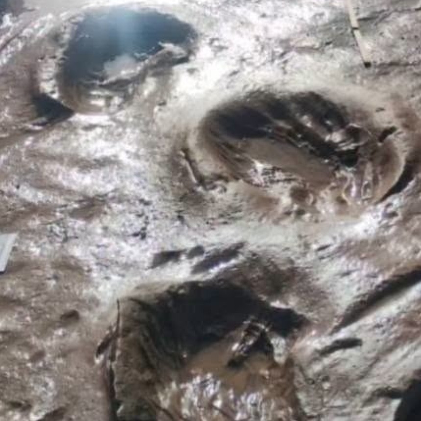 La marejada dej&oacute; al descubierto nuevas huellas de perezosos gigantes en Pehuen Co