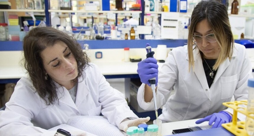 Científicas hallan una planta capaz de tratar distintos tipos de cáncer