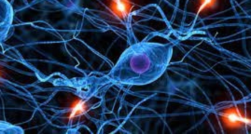 Salud: Serotonina ¿que es y cómo funciona?