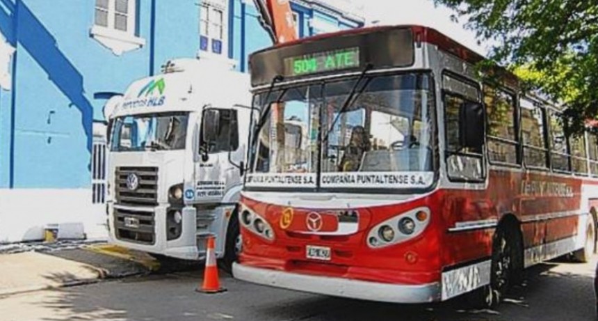 Servicios de colectivos en la ciudad para mañana seran gratis